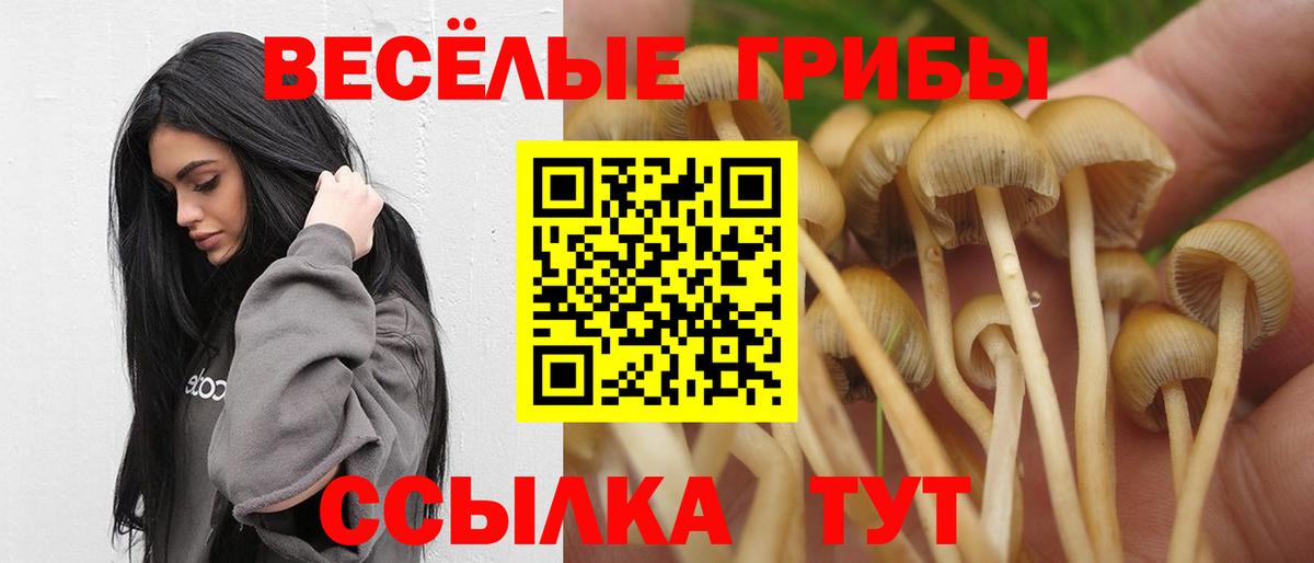 Галлюциногенные грибы Psilocybine cubensis  купить  сайты  Псилоцибиновые грибы ЛСД  Нарткала  Вход с VPN 