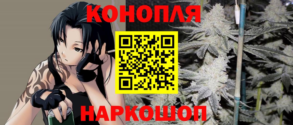 Канабис план  Бошки Шишки план  Нарткала  Бошки Шишки White Widow  Бошки марихуана White Widow  Вход с VPN 